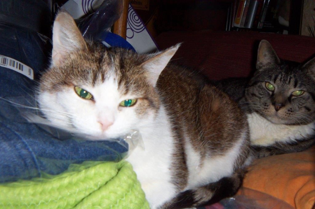 Well, there you go again! 