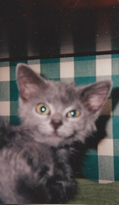 TWO FOR THE ROAD –a Pre-Submitted Dual Eulogy