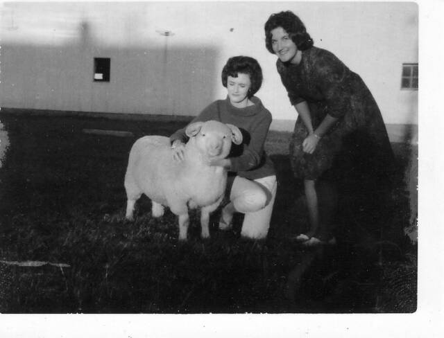 Climbing Jacob’s Letter — whoa there&nbsp;now!