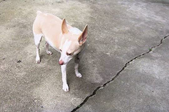 Compassion does contain the word&nbsp;passion…