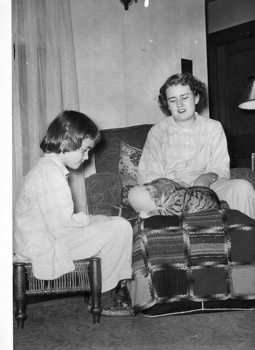 Variations on Bell&nbsp;Jar