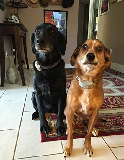 D=dimwitted and N=nutjobs and R=Run Amok!&nbsp;2014