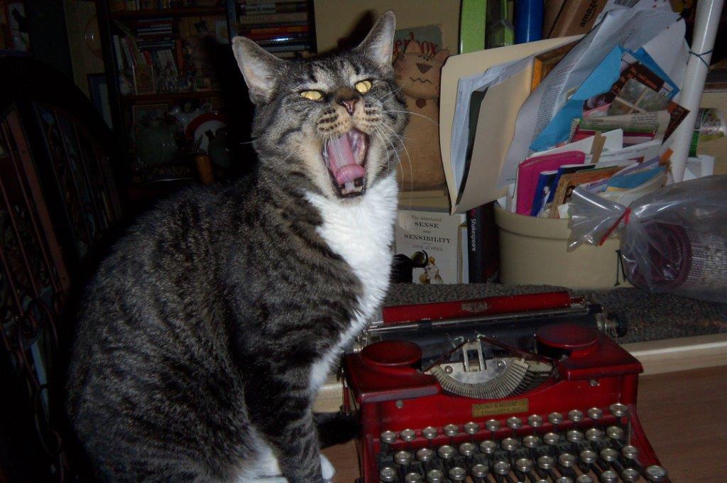 “We have met the enemy and he is us.” My world. As I see&nbsp;it.