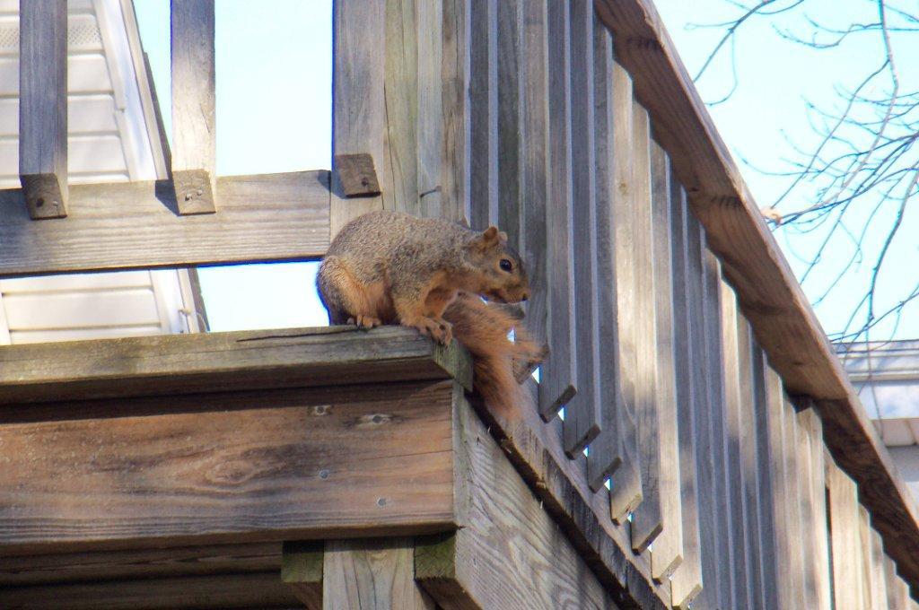 SUBMISSION TO “ALFRED HITCHCOCK PRESENTS….”