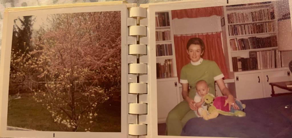 To whom it may concern…&nbsp;2012