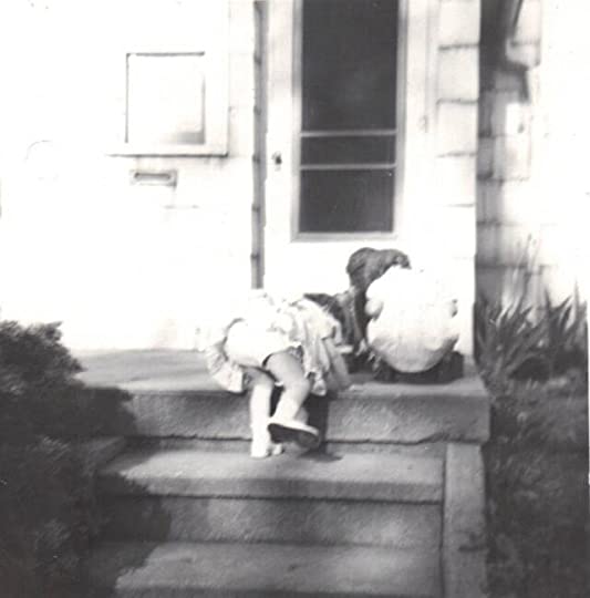 have you ever tried to discuss ideas with a&nbsp;politician?