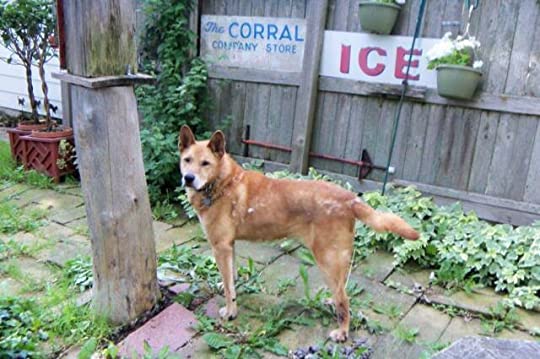 Part III: May Need to Revisit the Carolinas After All&nbsp;(2011)