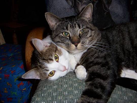 A brief ode to&nbsp;Issie…