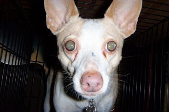 and that kind of attitude is not deserving of a heavenly&nbsp;situation