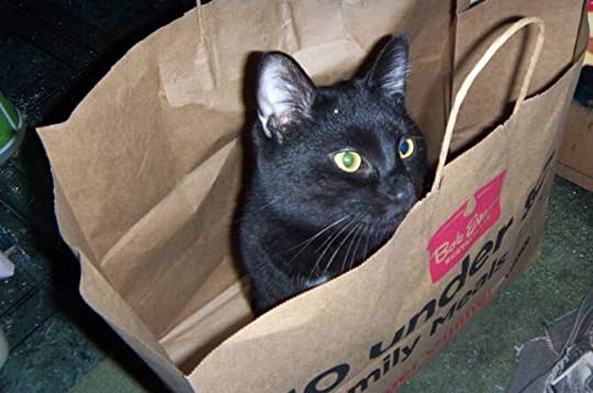 welcome to circus world!&nbsp;(2013)