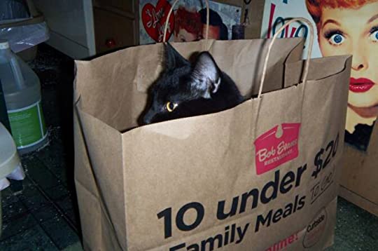 ….isn’t that the&nbsp;best?