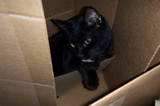 i am in an eternal state of&nbsp;conflict…