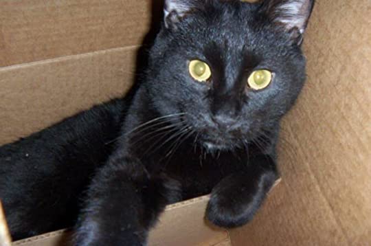 why wait…when we know it matters to&nbsp;somebody?