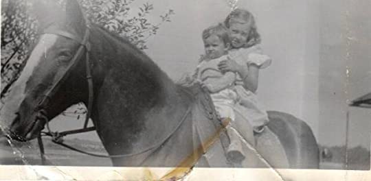 if I were a stray ….&nbsp;(2013)