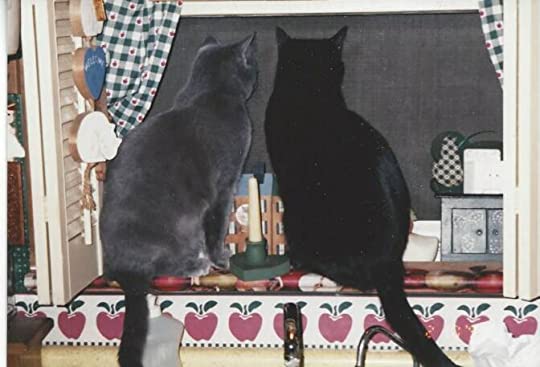 brains washed and dried and starched and ironed: Indiana ag&nbsp;gag