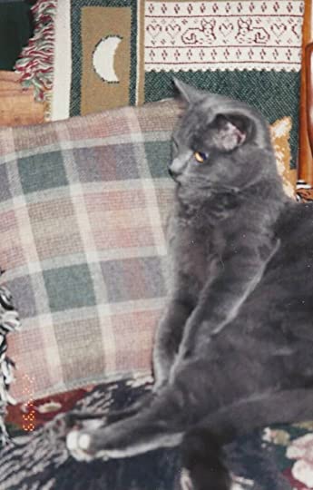 little orphan skylar