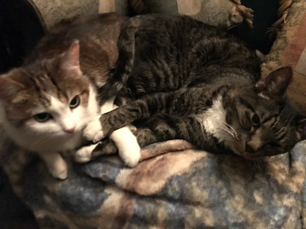 For what does it profit a man to gain the whole world and forfeit his soul?