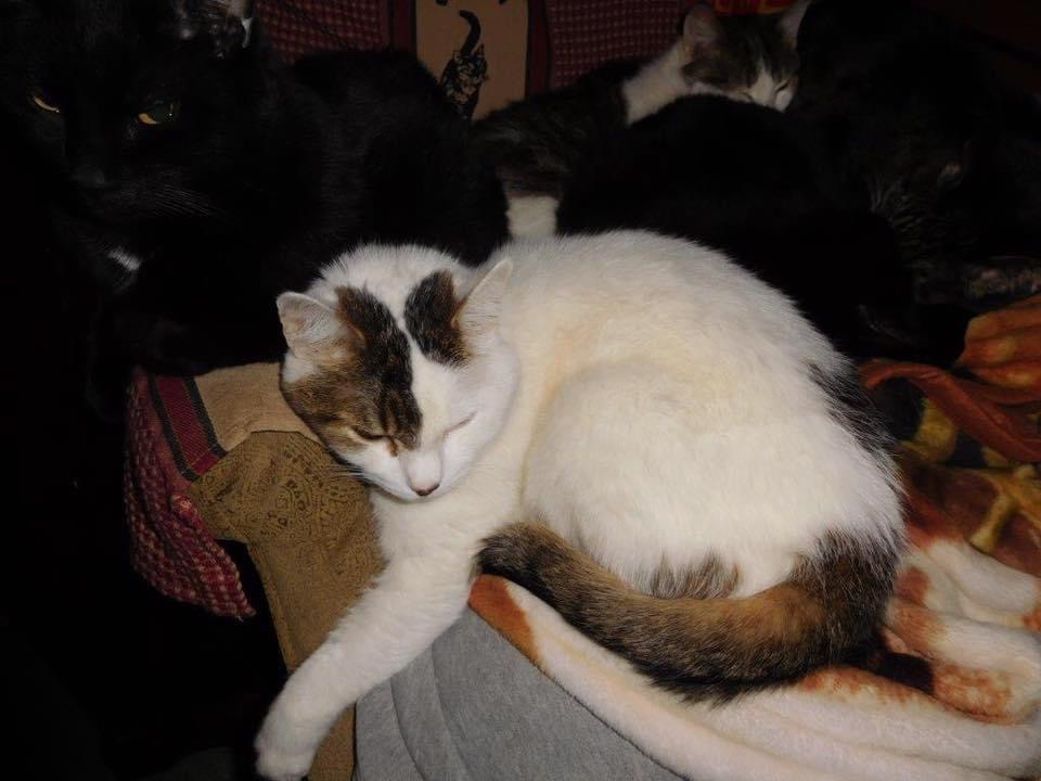 their hearts are lumps of&nbsp;coal?