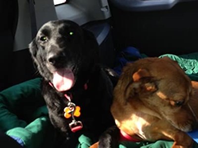 yep, the big picture is quite a lot to take&nbsp;in