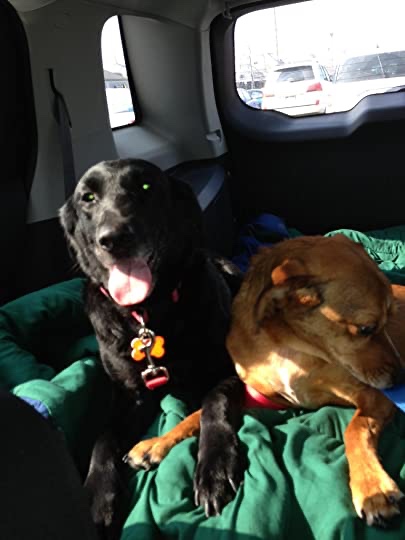 yep, the big picture is quite a lot to take&nbsp;in