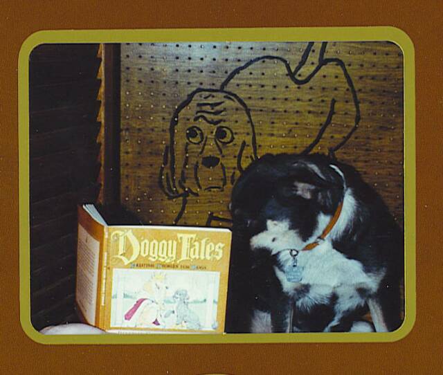 A Dog Story and A Cautionary Tale