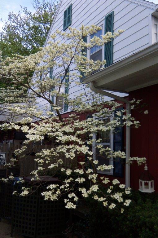 Mike Pence, you are no poet! 2016&nbsp;edition.