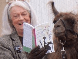 PET PEEVISHNESS…PLUS THE REDEEMING GLORIES OF THE CAT IN THE&nbsp;BOX